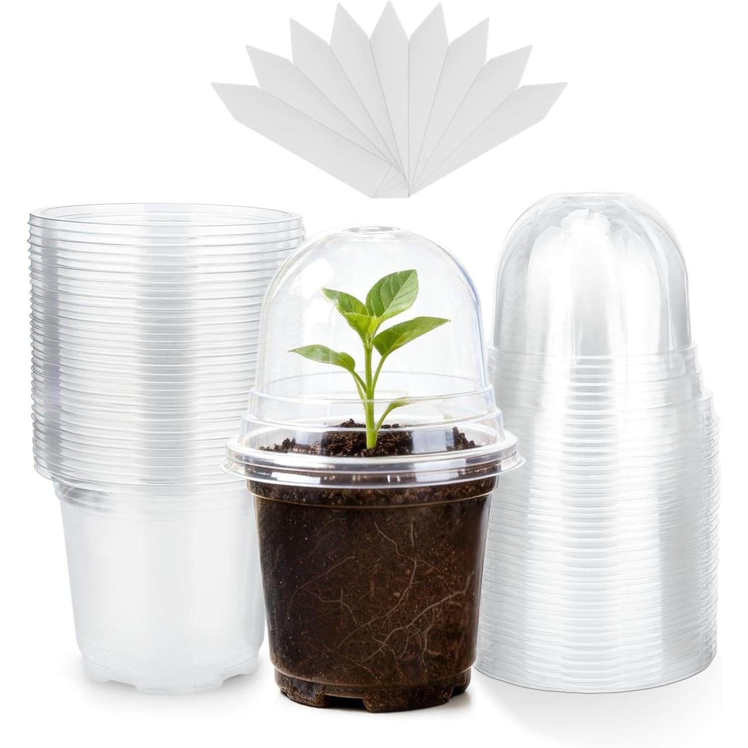 KINGLAKE 10 cm Plant Pot, 12 Plastic Flower Pots, Repotting Pots with Transparent Lid and 10 x Plant Labels, Planting Bucket – Transparent