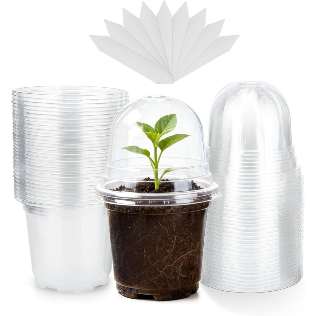 KINGLAKE 10 cm Plant Pot, 12 Plastic Flower Pots, Repotting Pots with Transparent Lid and 10 x Plant Labels, Planting Bucket – Transparent