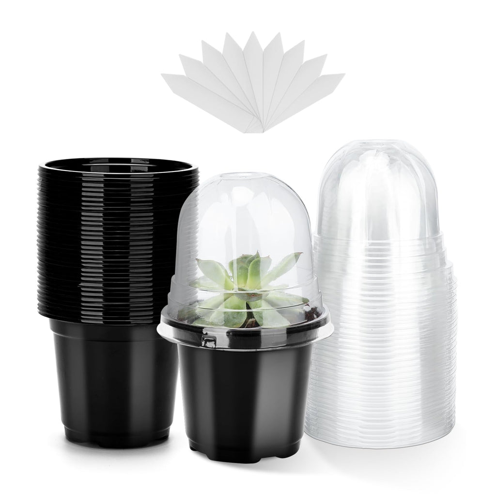 KINGLAKE 10 cm Plant Pot, 12 Plastic Flower Pots, Repotting Pots with Transparent Lid and 10 x Plant Labels, Planting Bucket – Transparent