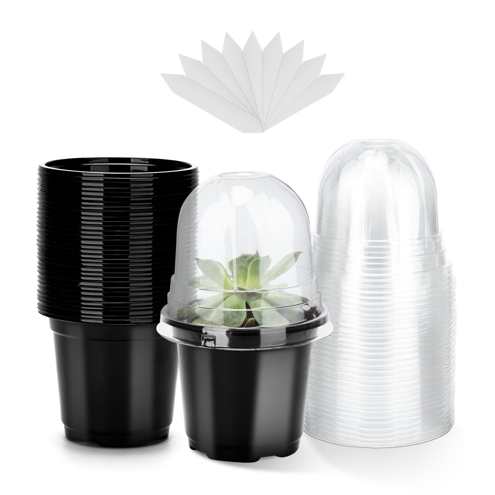 KINGLAKE 10 cm Plant Pot, 12 Plastic Flower Pots, Repotting Pots with Transparent Lid and 10 x Plant Labels, Planting Bucket – Transparent