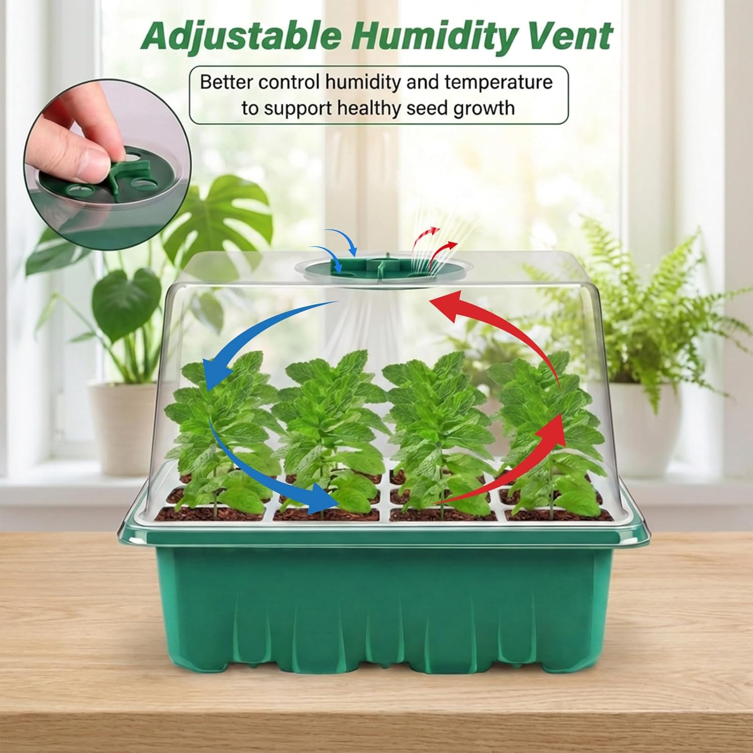Verdenu Mini Greenhouse for Plants, 10 Pieces 120 Cells Plate Seeding, Indoor Greenhouse with Raised Lids, Seedling Tray Nursery Grow Box, Durable Dome Height 8.5 cm