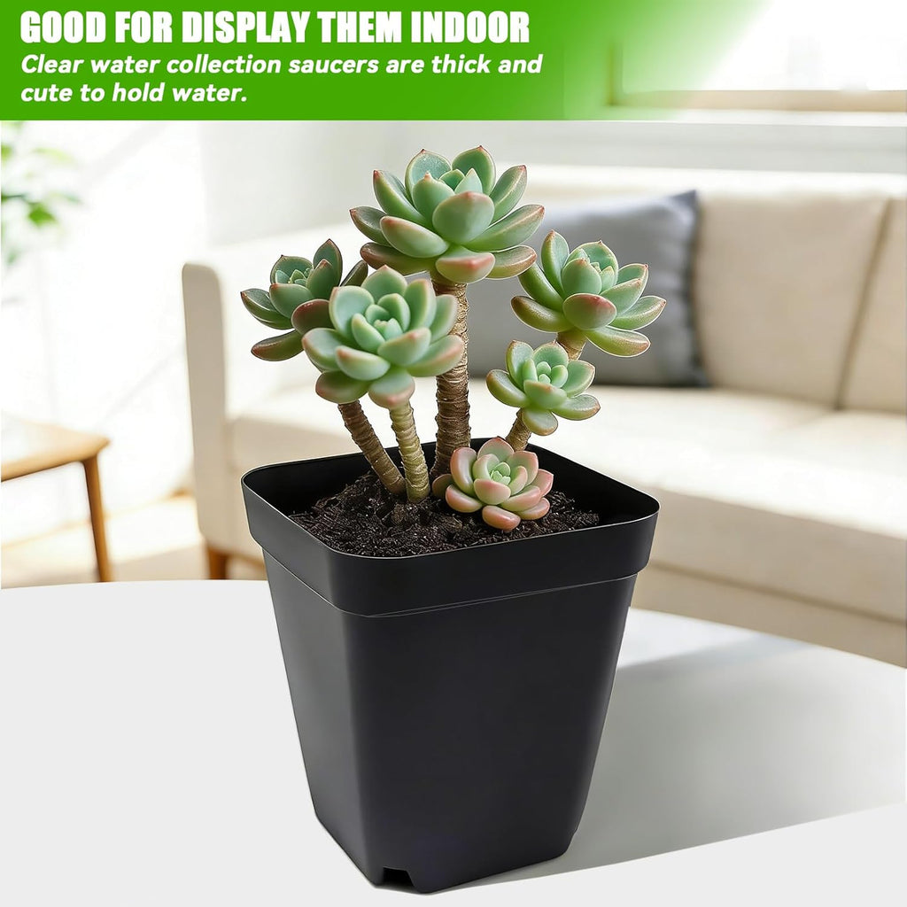 Seedling Pots Diameter 5.5 x 5.5 cm, Pack of 100, Plastic Plant Pots with Drainage Hole, Black Plastic Pots for Indoor and Garden, Seedling Pot Container Transplanting