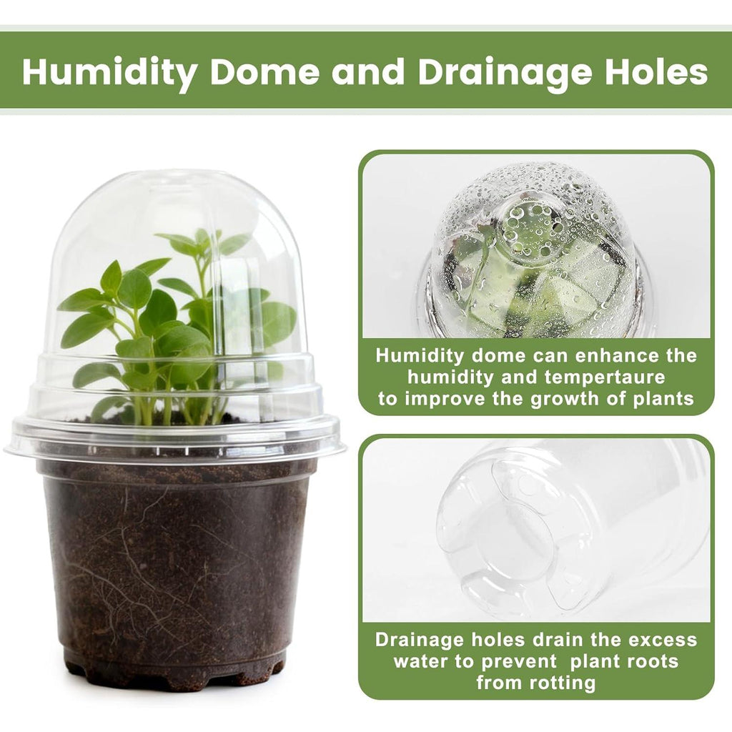 KINGLAKE 10 cm Plant Pot, 12 Plastic Flower Pots, Repotting Pots with Transparent Lid and 10 x Plant Labels, Planting Bucket – Transparent