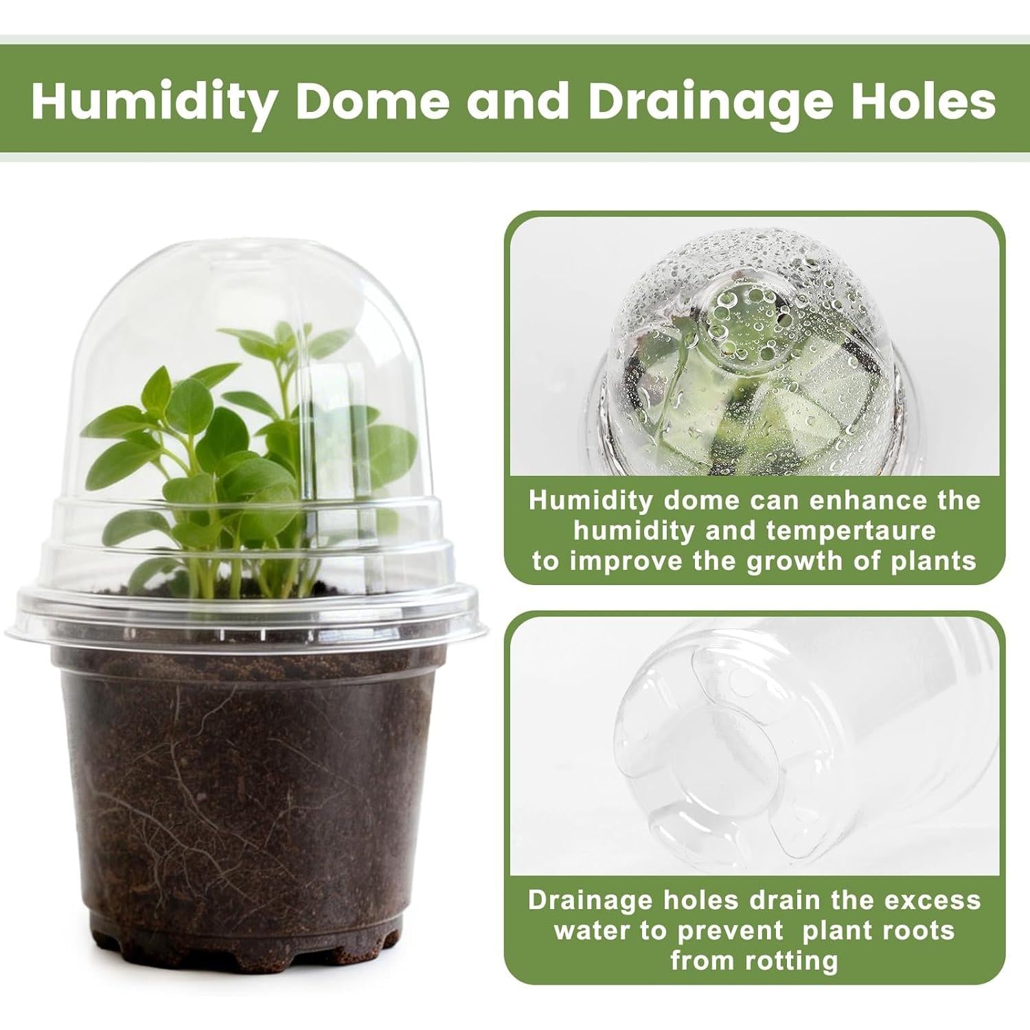 KINGLAKE 10 cm Plant Pot, 12 Plastic Flower Pots, Repotting Pots with Transparent Lid and 10 x Plant Labels, Planting Bucket – Transparent