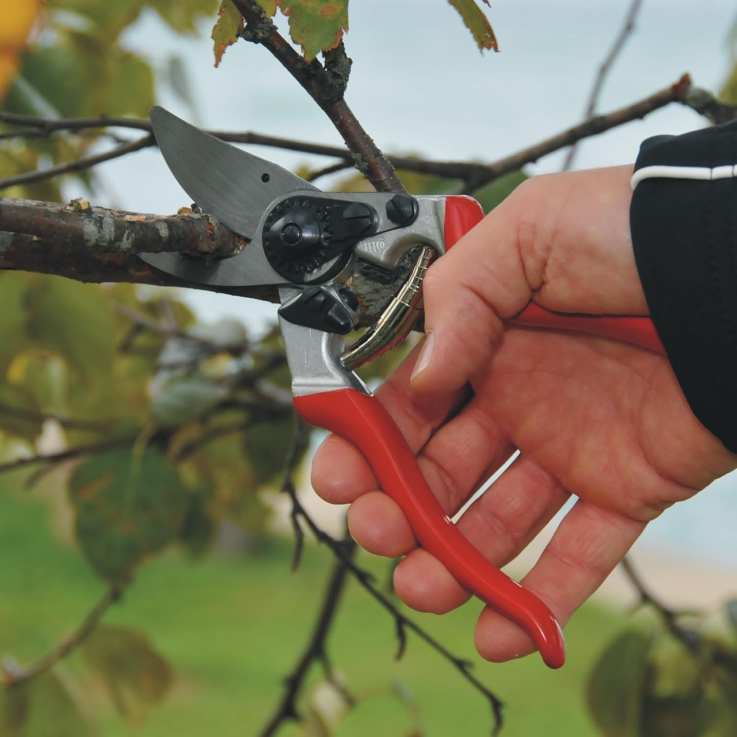 FELCO 8 Bypass Secateurs Right Handed Ergonomic 52 mm Hardened Steel Blade Forged Aluminium Handles Angled Head Shock Absorbers for Large Hand Clean Cut Up to 25 mm Professional Tool