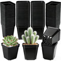 Seedling Pots Diameter 5.5 x 5.5 cm, Pack of 100, Plastic Plant Pots with Drainage Hole, Black Plastic Pots for Indoor and Garden, Seedling Pot Container Transplanting