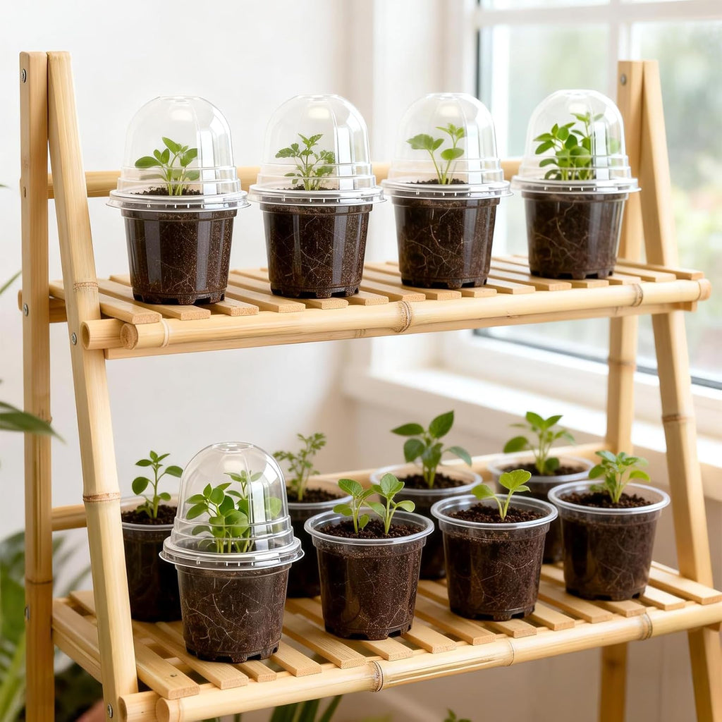 KINGLAKE 10 cm Plant Pot, 12 Plastic Flower Pots, Repotting Pots with Transparent Lid and 10 x Plant Labels, Planting Bucket – Transparent