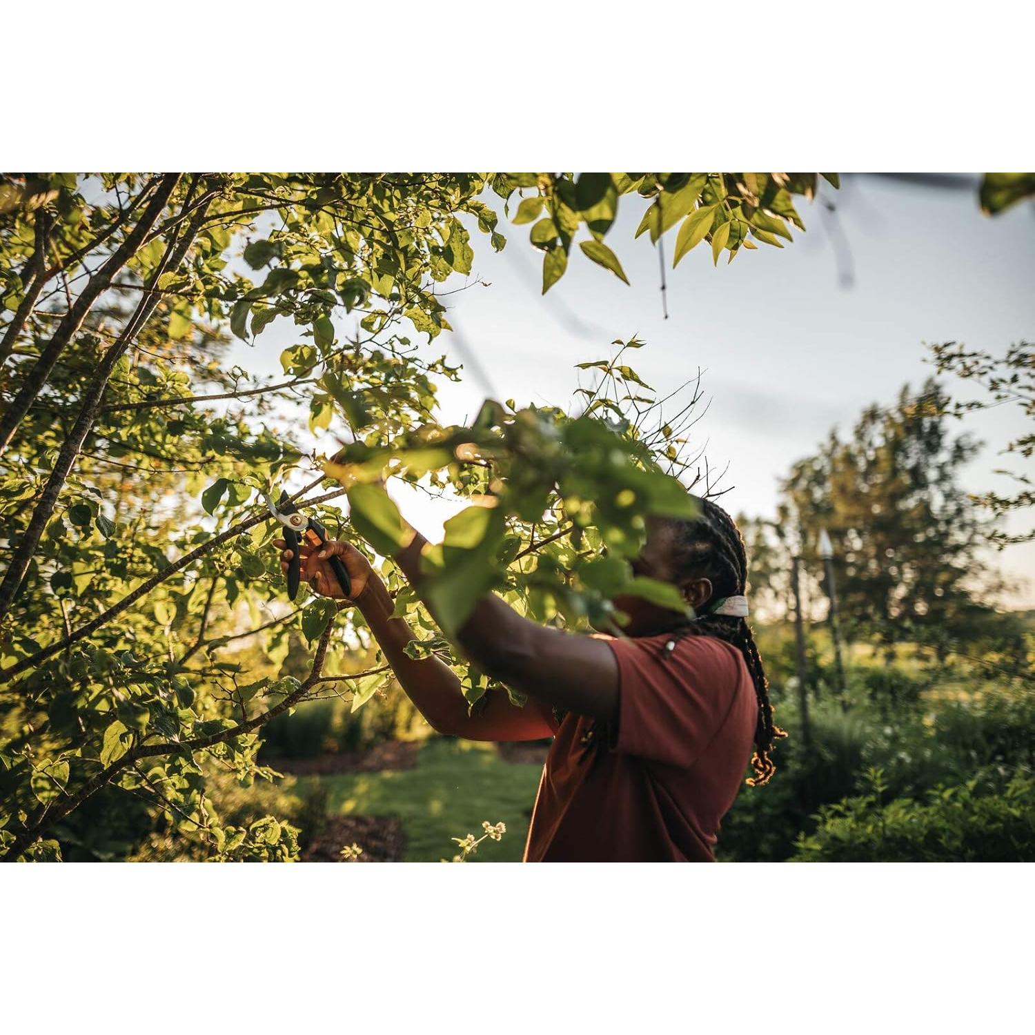 Fiskars Pruning Shears M, Solid, P321, for Fresh Branches and Twigs, Non-Stick Coating, Stainless Steel Blade, Length: 20 cm, Black/Orange, 1057162