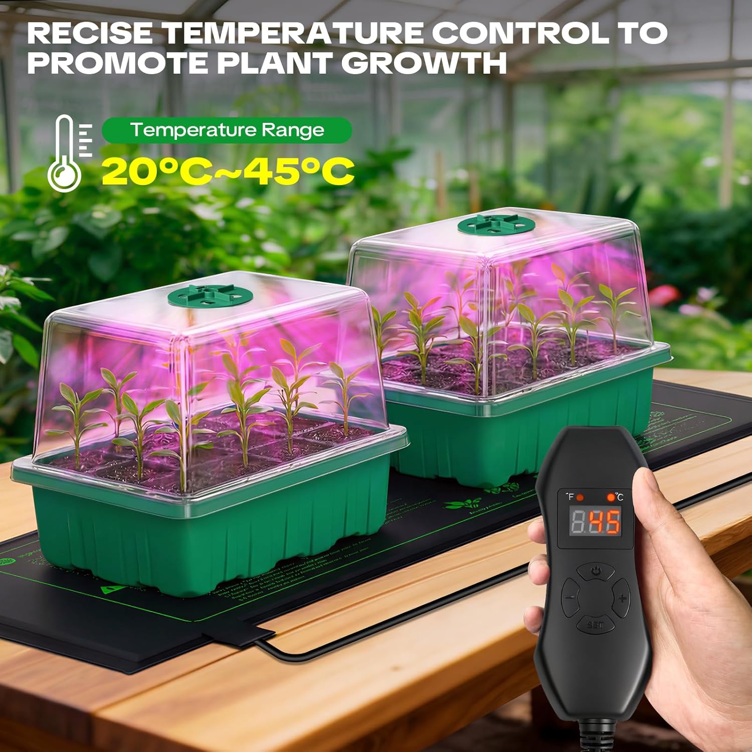 YAUNGEL Mini Greenhouse with Lamp for Plants Heating Mat, 5 Pieces Mini Greenhouse for Seedlings with Thermostat Adjustable Brightness, Thickened Greenhouse with Lid and Ventilation