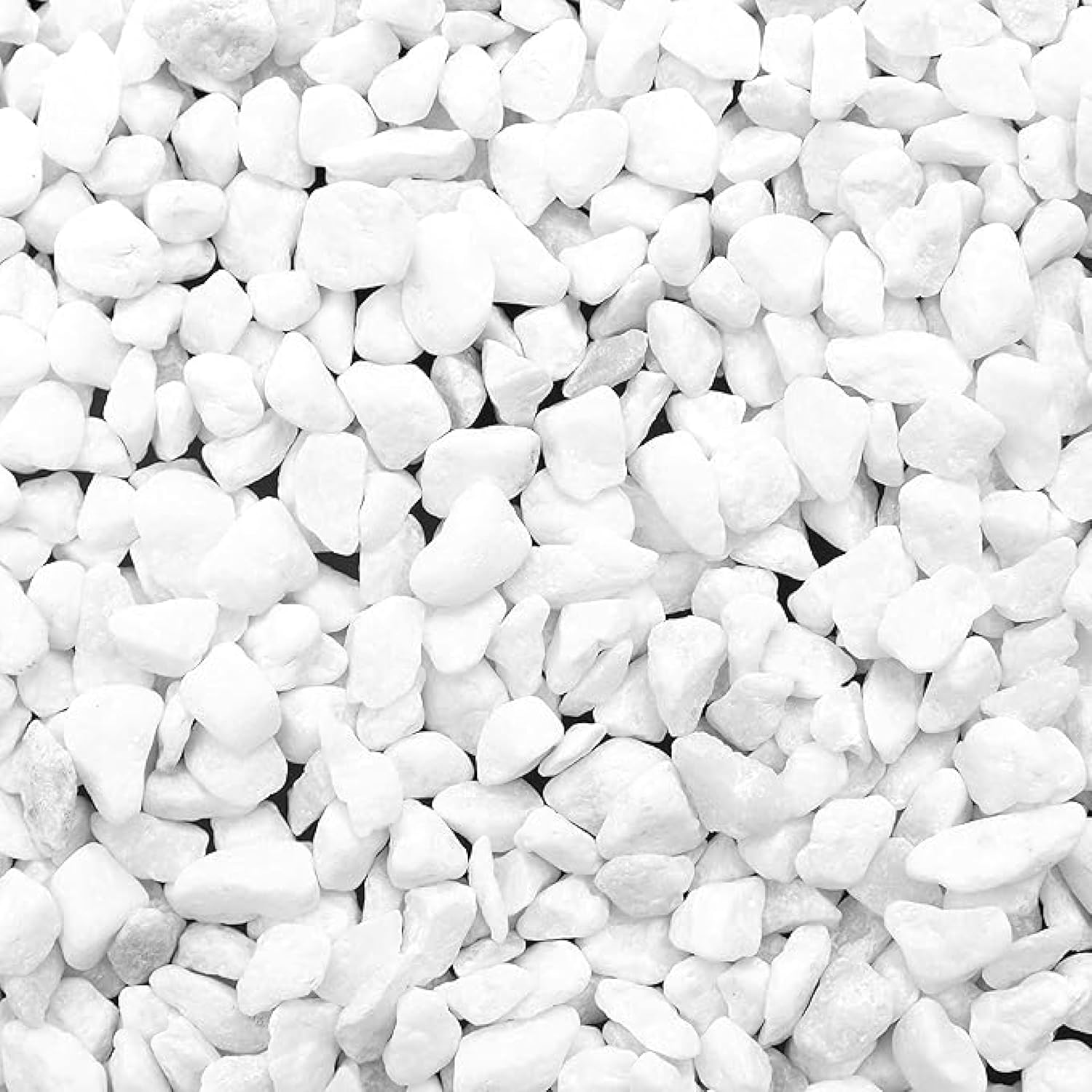 BELLE VOUS Small Aquarium Gravel – 3.6 kg Bag of Natural Decorative Pebbles for Potted Plant Vase – White Pebble Garden Outdoor and Indoor – Decorative Pebble Stone