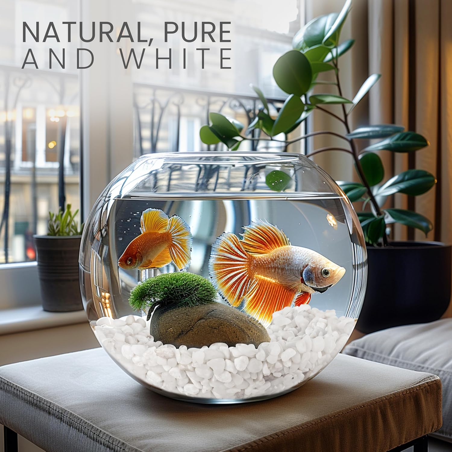 BELLE VOUS Small Aquarium Gravel – 3.6 kg Bag of Natural Decorative Pebbles for Potted Plant Vase – White Pebble Garden Outdoor and Indoor – Decorative Pebble Stone