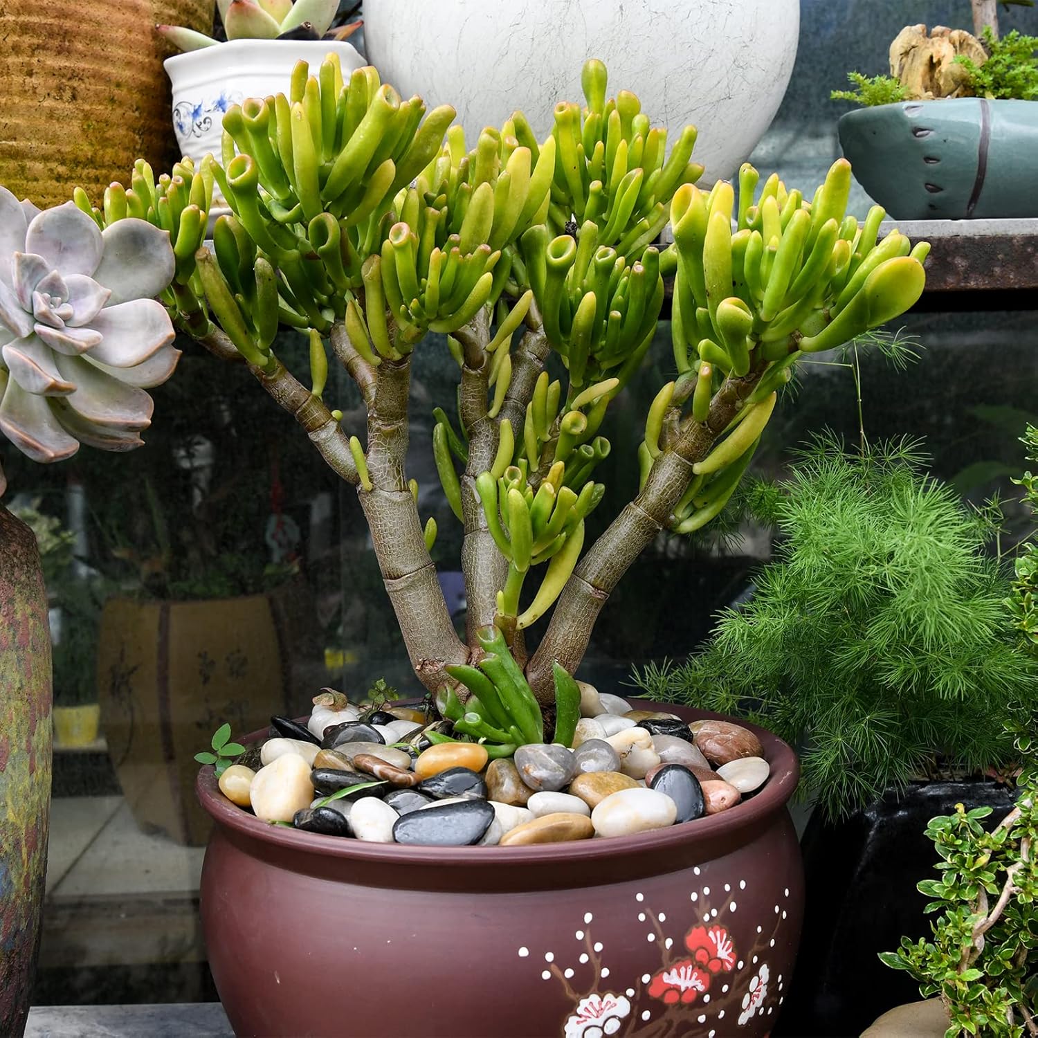 1.8kg Decorative Stones 2-4cm Polished Natural Pebbles for Flower Pots, Landscaping, Vase Filling, Succulent Plants, Aquariums and Garden Decoration