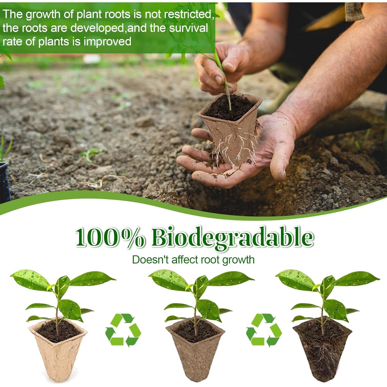 VEEKAY Mini Greenhouse for Plants, 4 Pieces 144 Cells Biodegradable Seed Pot, Indoor Greenhouse Grow Trays, Grow Tray with Lid and Ventilation, Moisturizing Seedling Tray