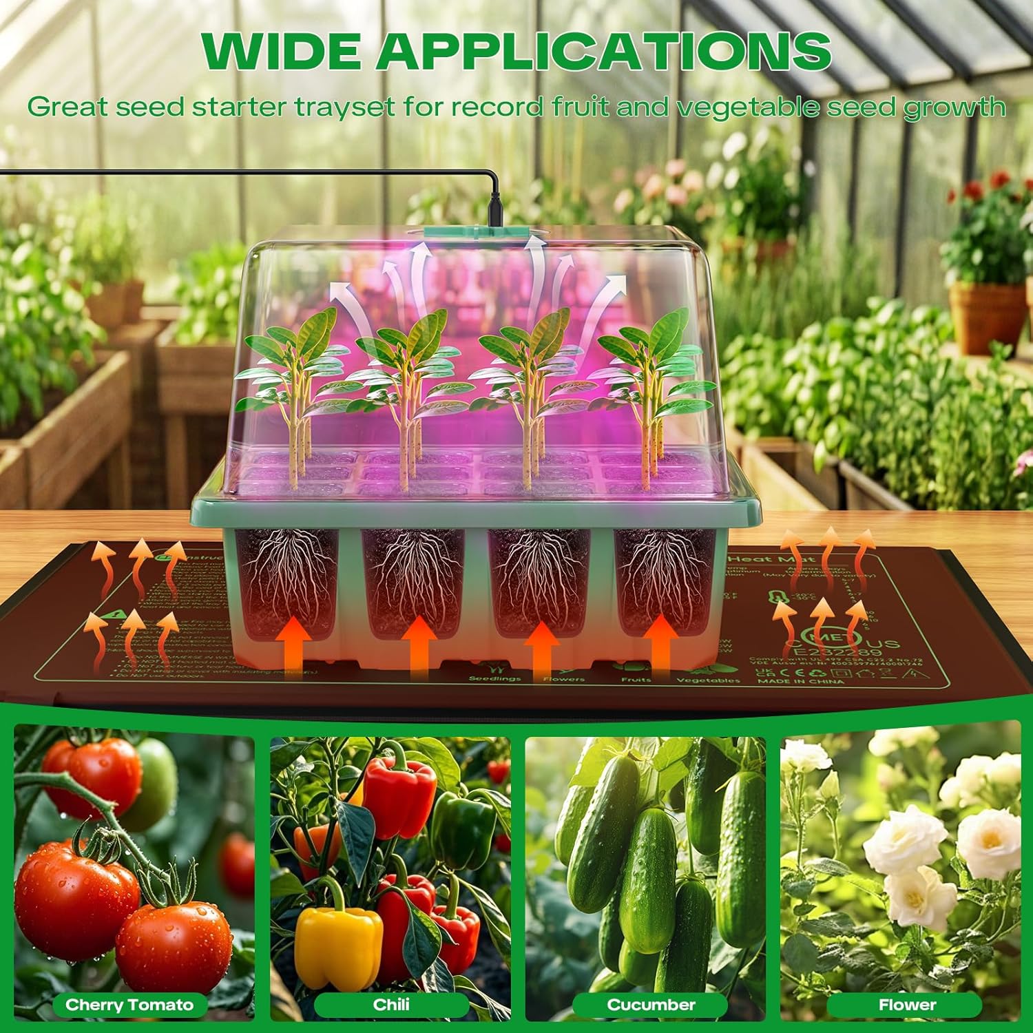 YAUNGEL Mini Greenhouse with Lamp for Plants Heating Mat, 5 Pieces Mini Greenhouse for Seedlings with Thermostat Adjustable Brightness, Thickened Greenhouse with Lid and Ventilation