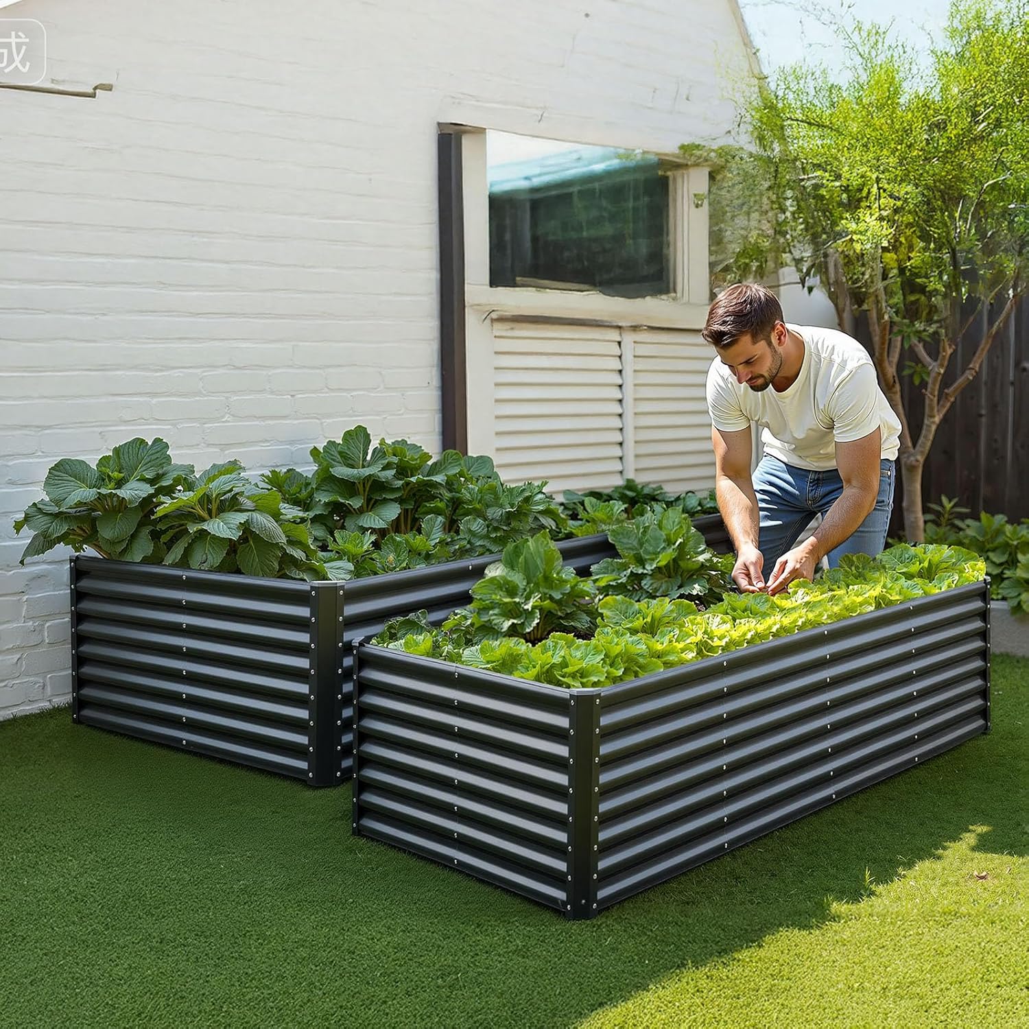 VEVOR Raised Metal Vegetable Garden Garden Garden Bed 240 x 120 x 60 cm Square Galvanised Raised Bed Garden Bed Garden Planter for Growing Vegetables, Flowers, Herbs, Aromatic Plants, Dark Grey