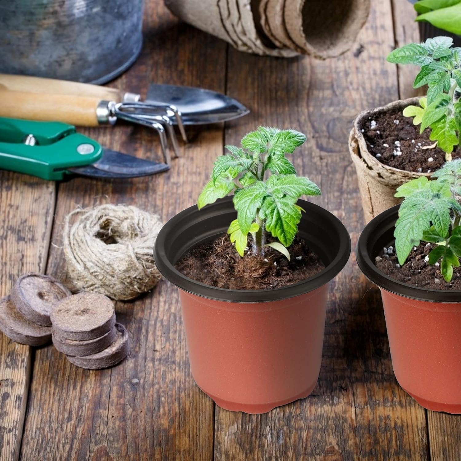 KINGLAKE 100 x 10 cm Flower Pots, Outdoor Seedling Pots, Plastic Plant Pots, Transplanting Pots, Seedling Buckets for Interiors, Red-Brown